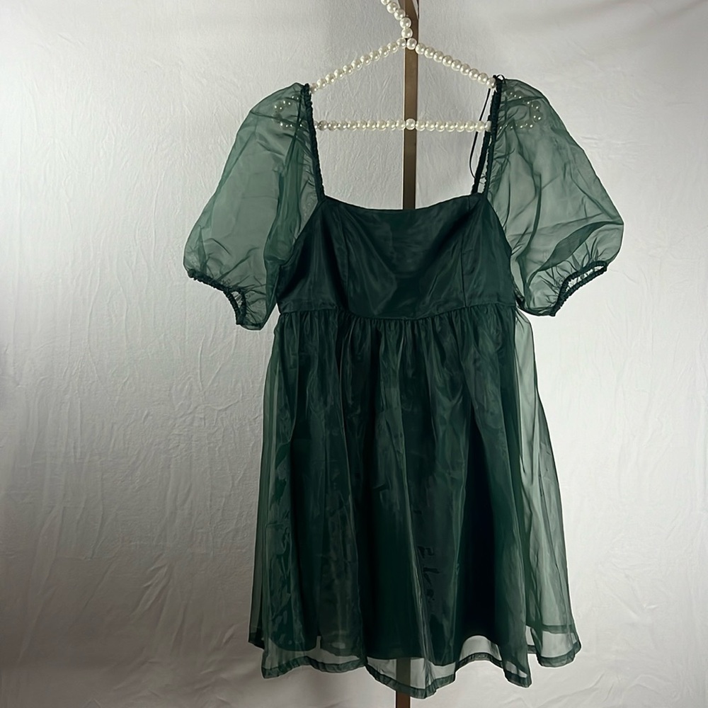 Brand: TCEC, bought at boutique store, sheer sleeves, mini dress.  never worn.